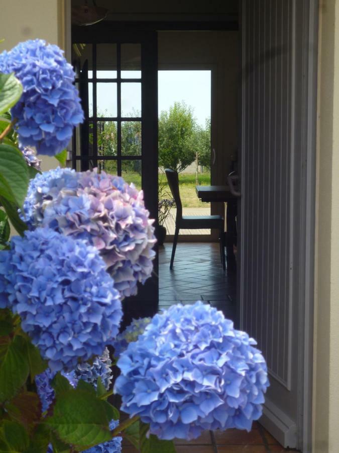 Chambres D'Hotes De Ty Guen Trédarzec 外观 照片